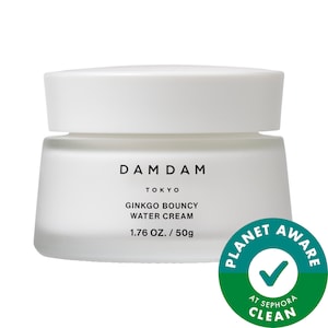 Ginkgo Light & Bouncy Water Cream Moisturizer