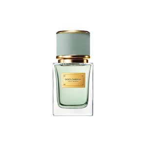 Velvet Infusion with Bergamot