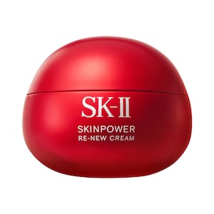 SKINPOWER Re-New Anti-Aging Cream Moisturizer for Wrinkles & Dryness, 80ml