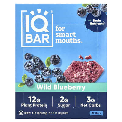 Plant Protein Bar, Wild Blueberry, 12 Bars, 1.6 oz (45 g) Each