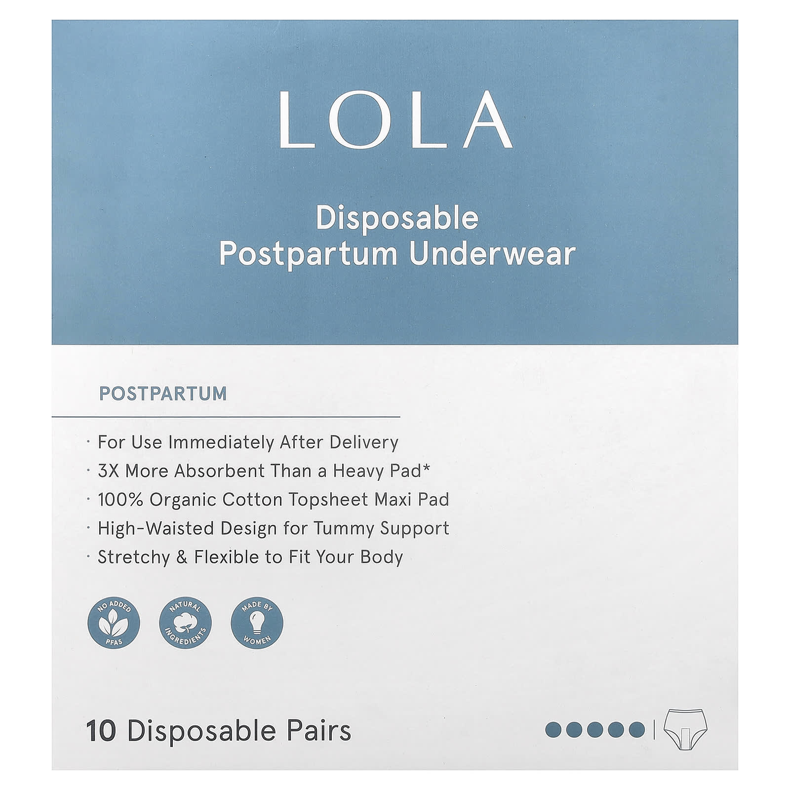 Disposable Postpartum Underwear, 10 Pairs