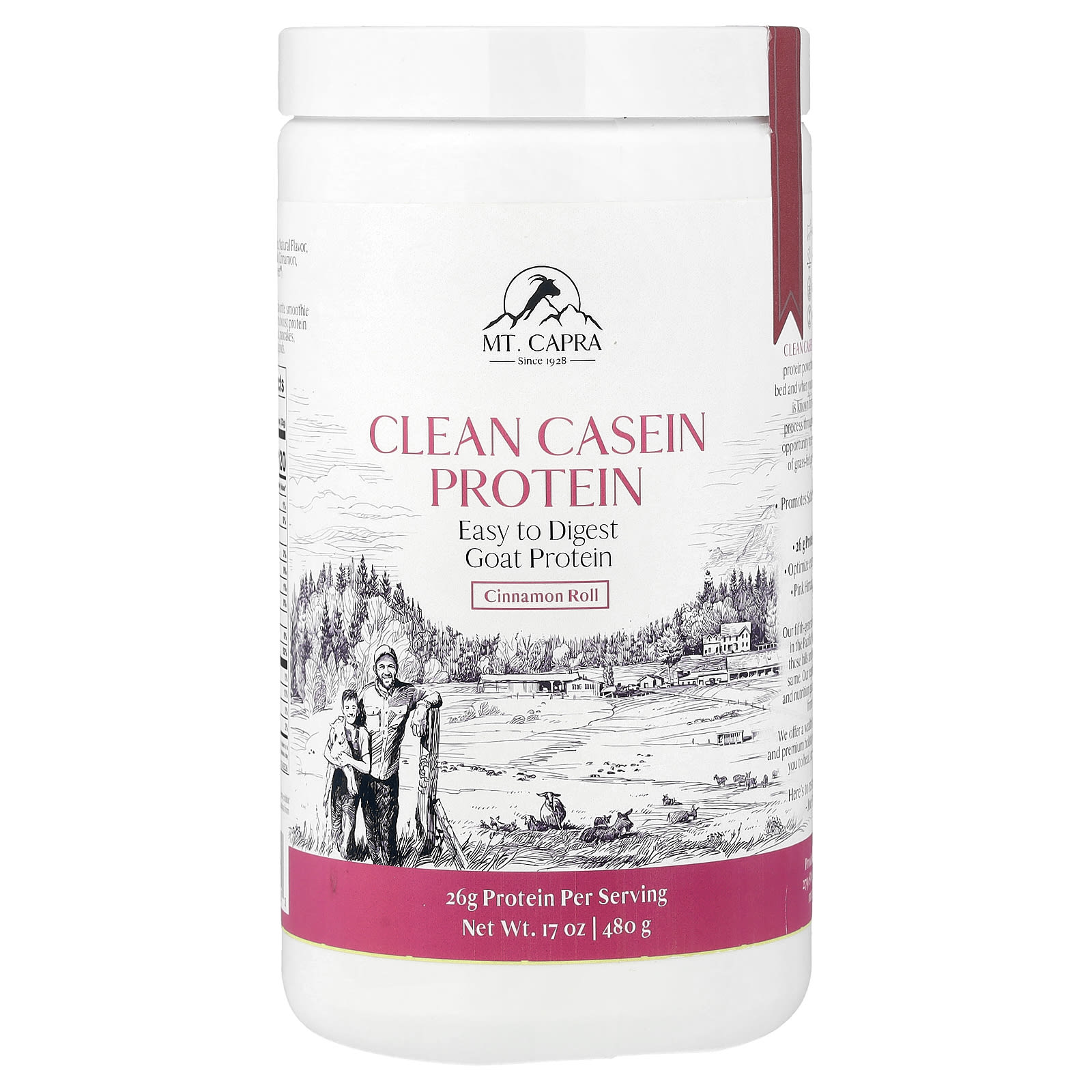Clean Casein Protein, Cinnamon Roll, 17 унций (480 г)