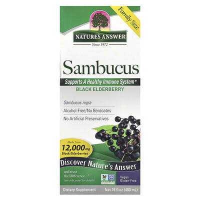 Sambucus, Black Elderberry, Alcohol-Free, 2,500 mg, 16 fl oz (480 ml)