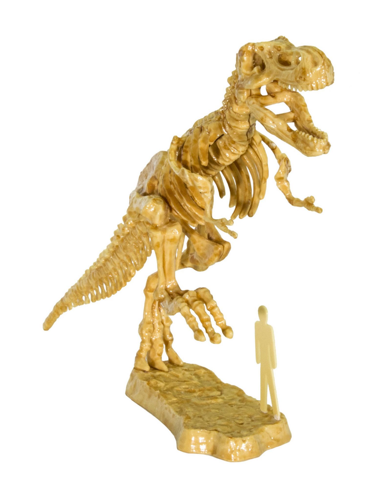 Набор для раскопок Thames & Kosmos I Dig It! Dinos - 3D T. Rex Excavation Kit