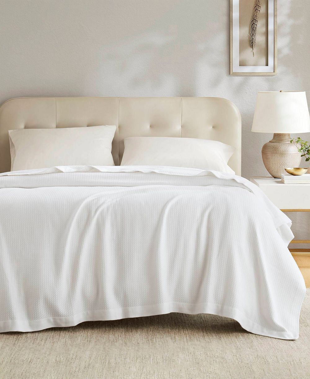 Madison Park Egyptian Cotton Blanket, Twin