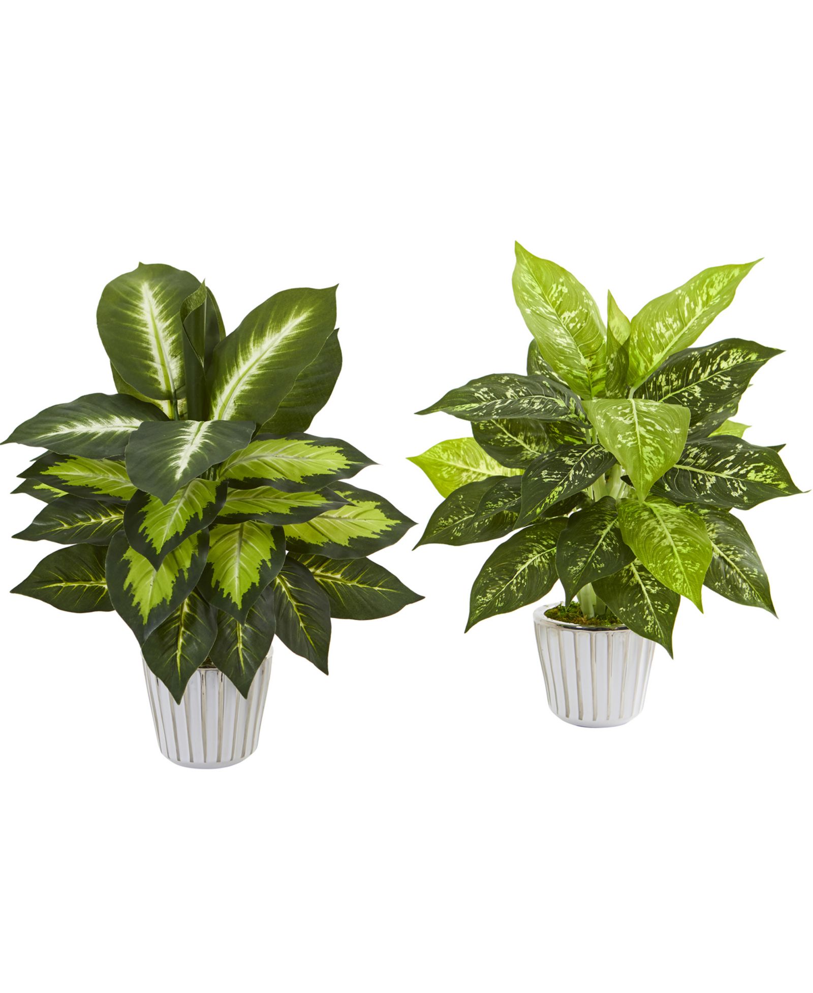 Искусственное растение Dieffenbachia Nearly Natural 19" в белой вазе, набор из 2 шт