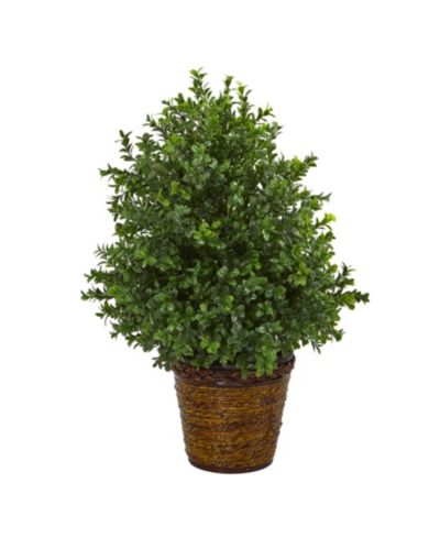 Искусственное растение Nearly Natural 23" Sweet Grass в корзине