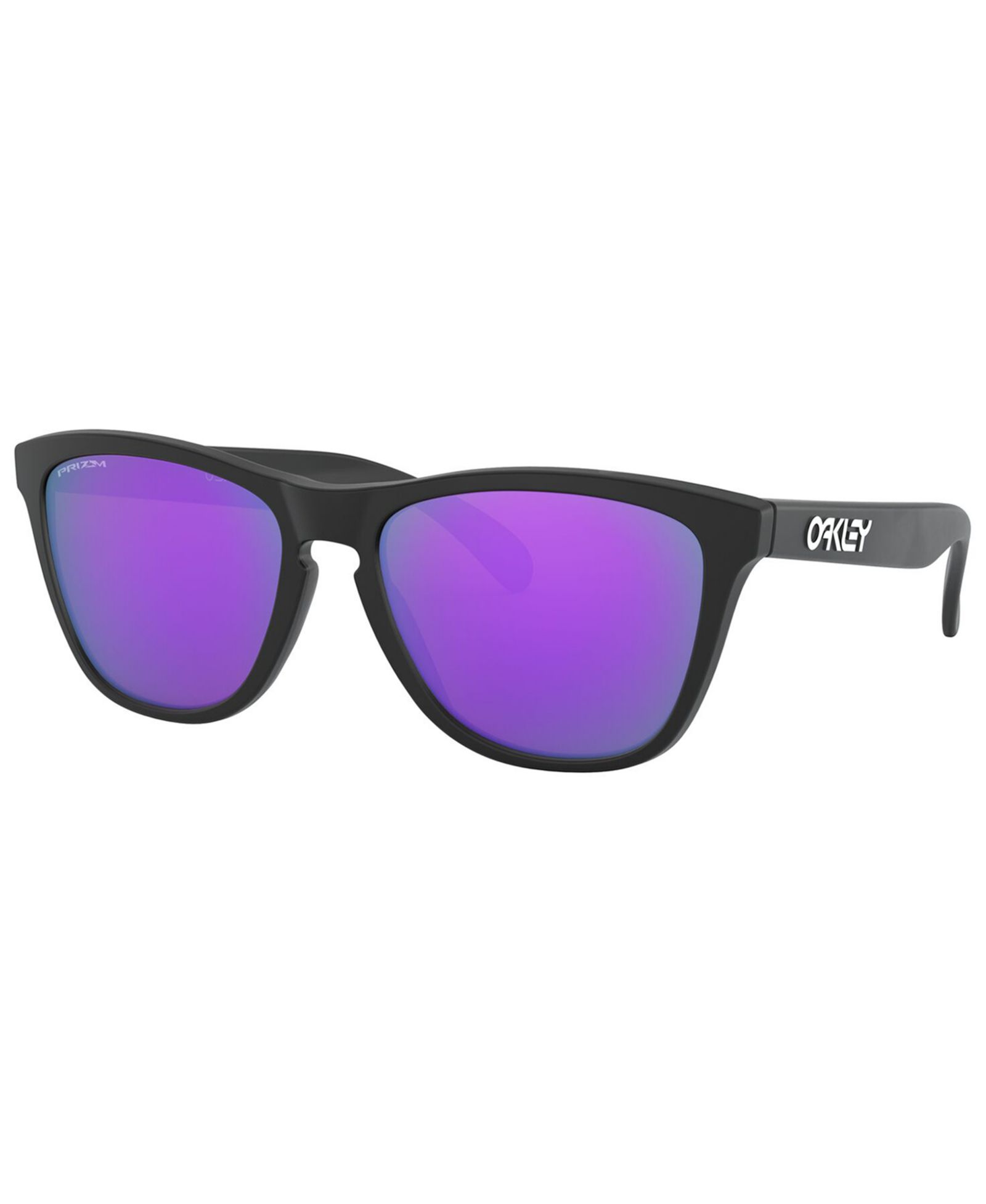 Oakley Men's Frogskin Sunglasses, OO9013