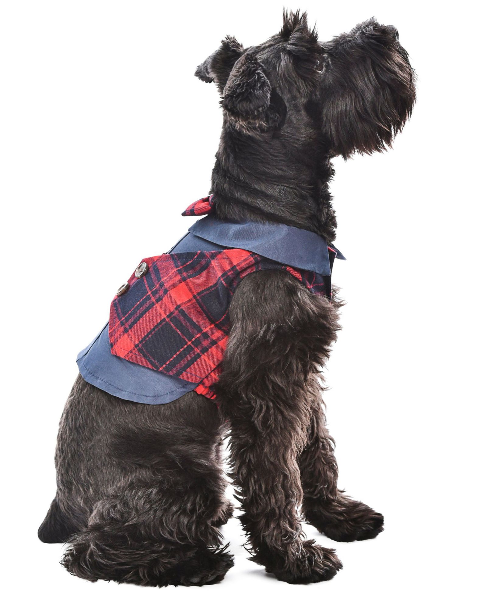 Parisian Pet Смокинг для собак Parisian Pet Scottish Red Plaid