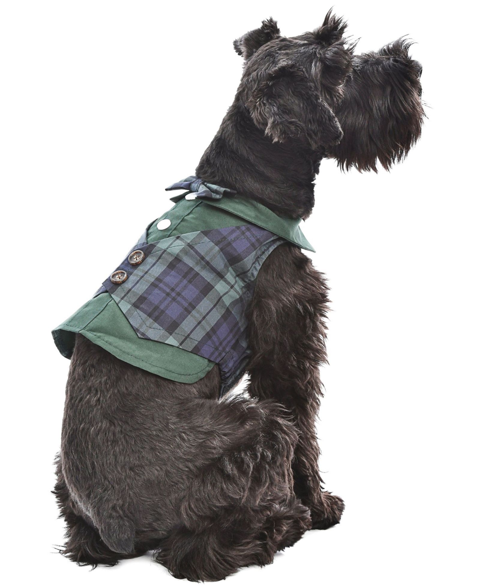 Одежда для животных Parisian Pet Scottish Tuxedo Green Plaid