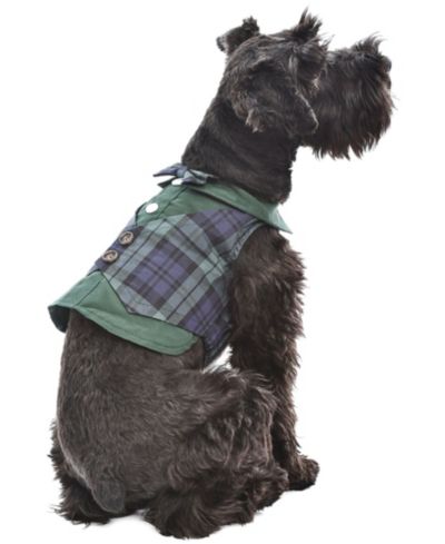 Parisian Pet Scottish Tuxedo Green Plaid