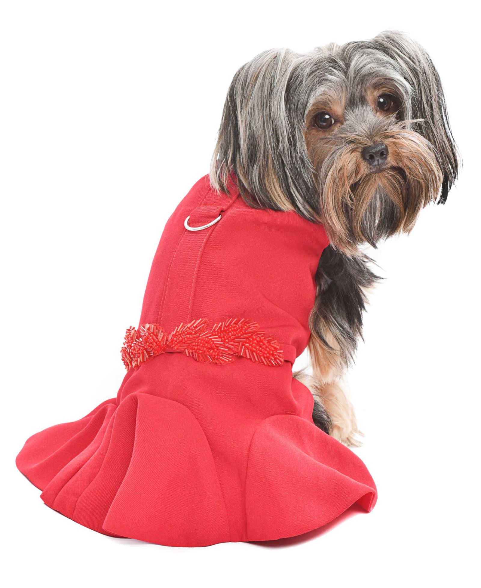 Parisian Pet Satin Embellished Red Dress