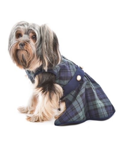 Платье Parisian Pet Scottish Taffeta Plaid