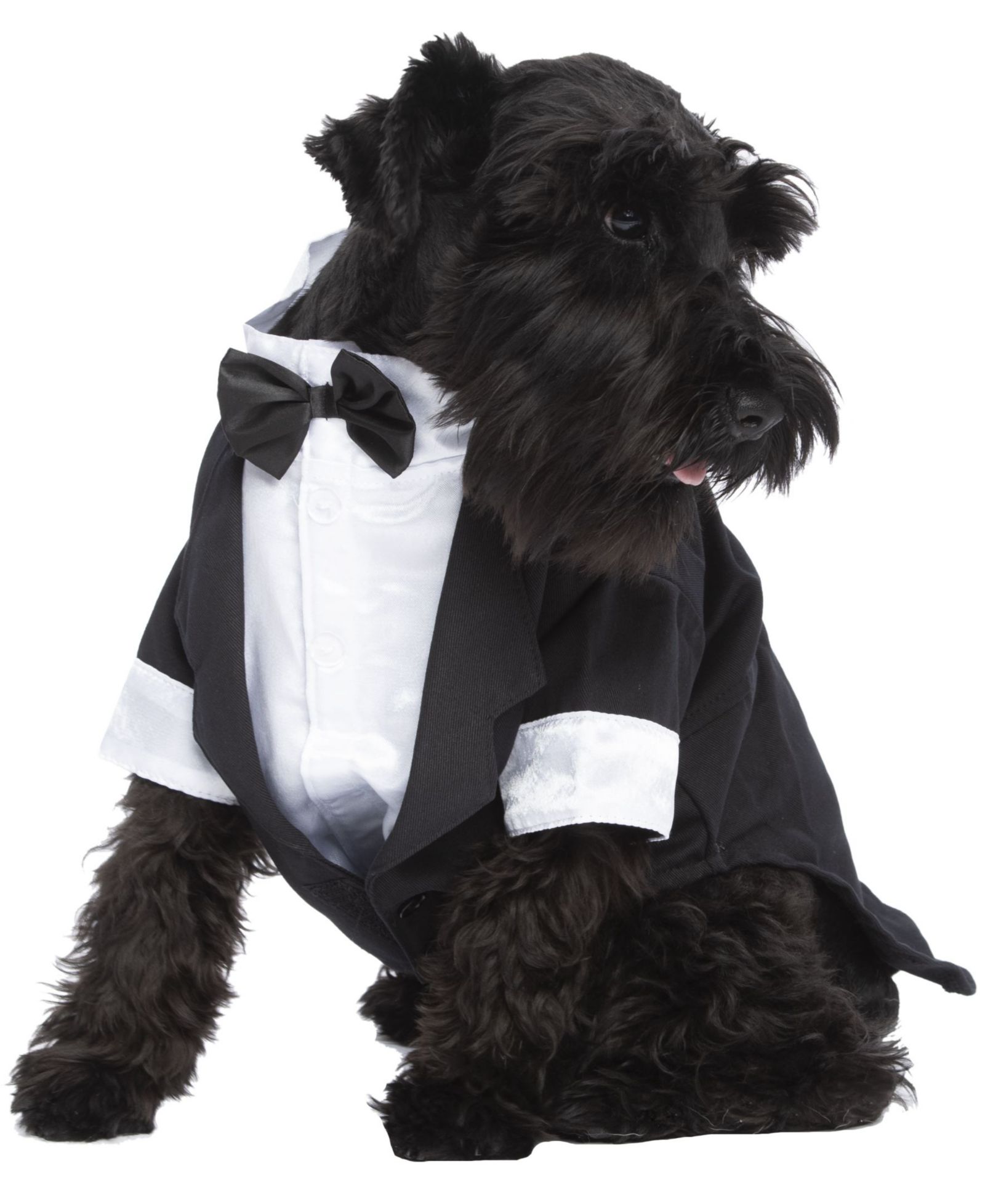 Parisian Pet Parisian Pet Party Tux
