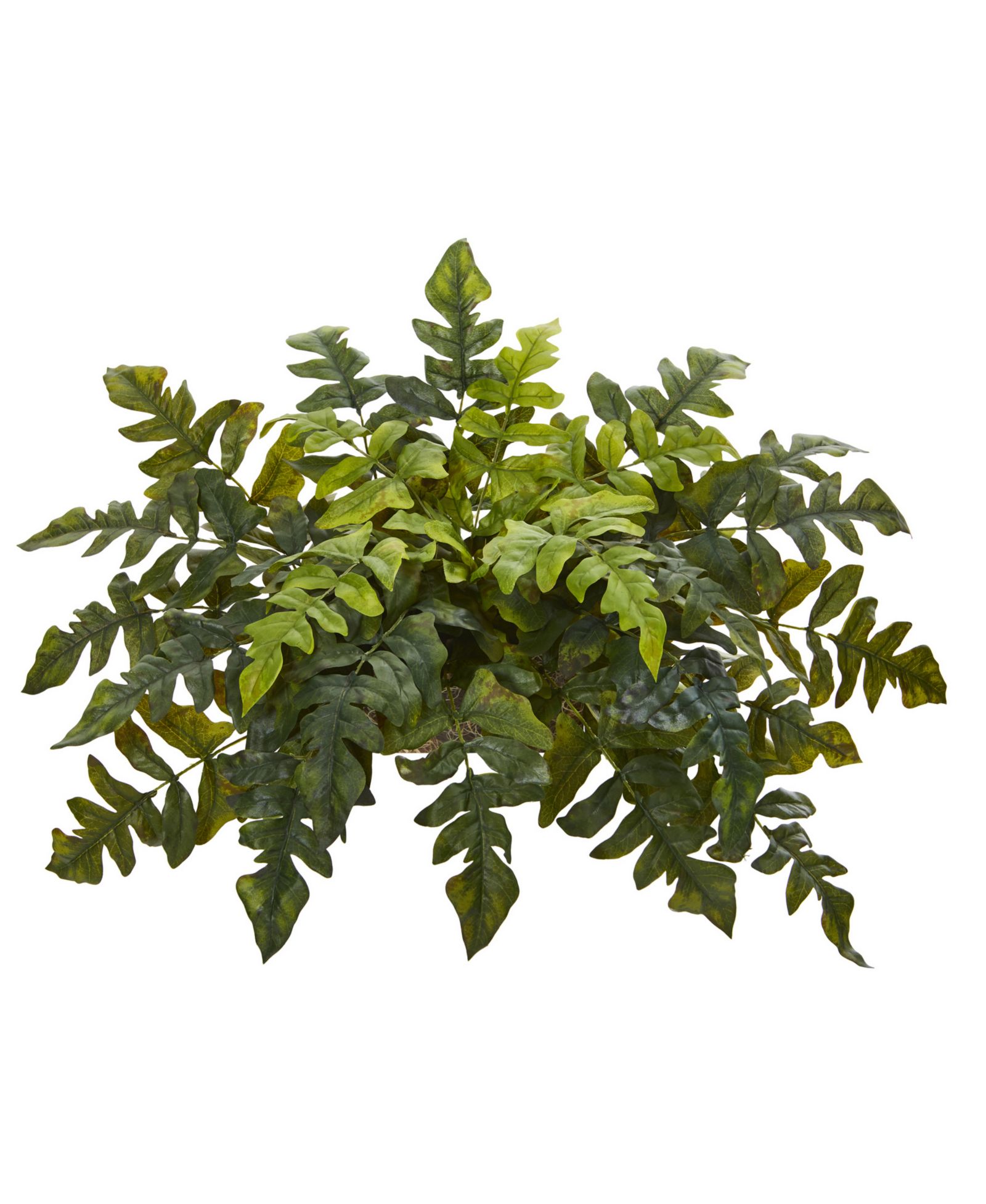 Искусственное растение Nearly Natural Holly Fern, 32in"