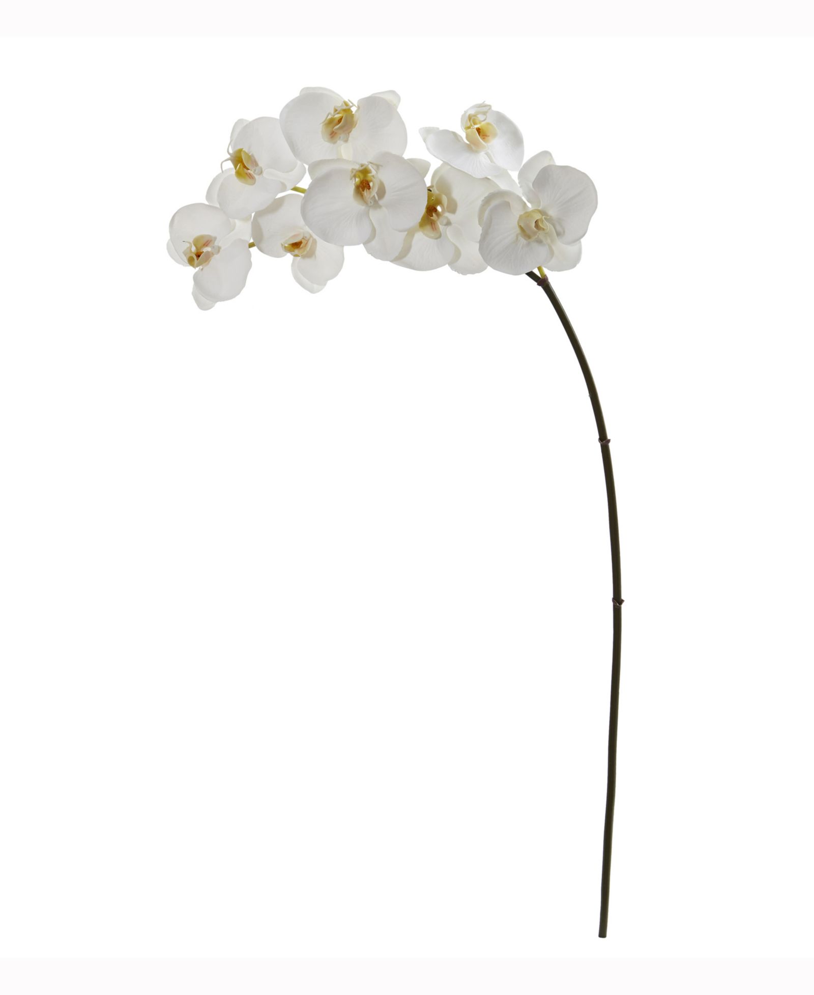 Nearly Natural 35in. Phalaenopsis Orchid Artificial Flower Set of 6