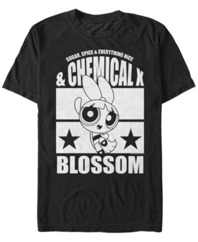 Мужская футболка Fifth Sun Powerpuff Girls Blossom с коротким рукавом
