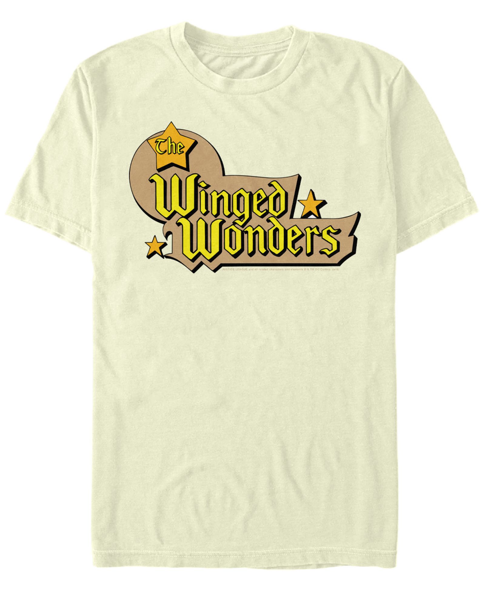 Мужская футболка Fifth Sun DC The Winged Wonders Text Logo Short Sleeve