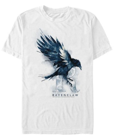 Мужская футболка Fifth Sun Harry Potter Ravenclaw Mystic Wash Short Sleeve