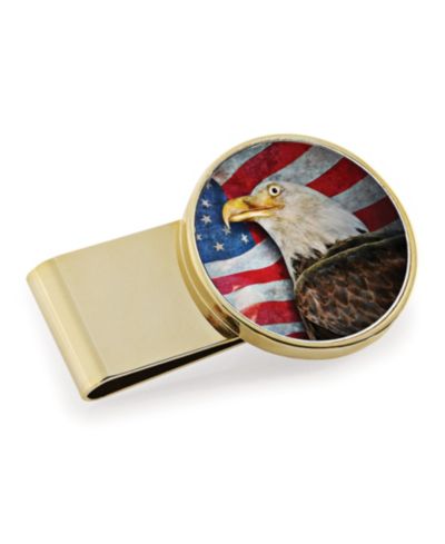 Мужской зажим для денег American Coin Treasures American Bald Eagle Colorized JFK Half Dollar из нержавеющей стали