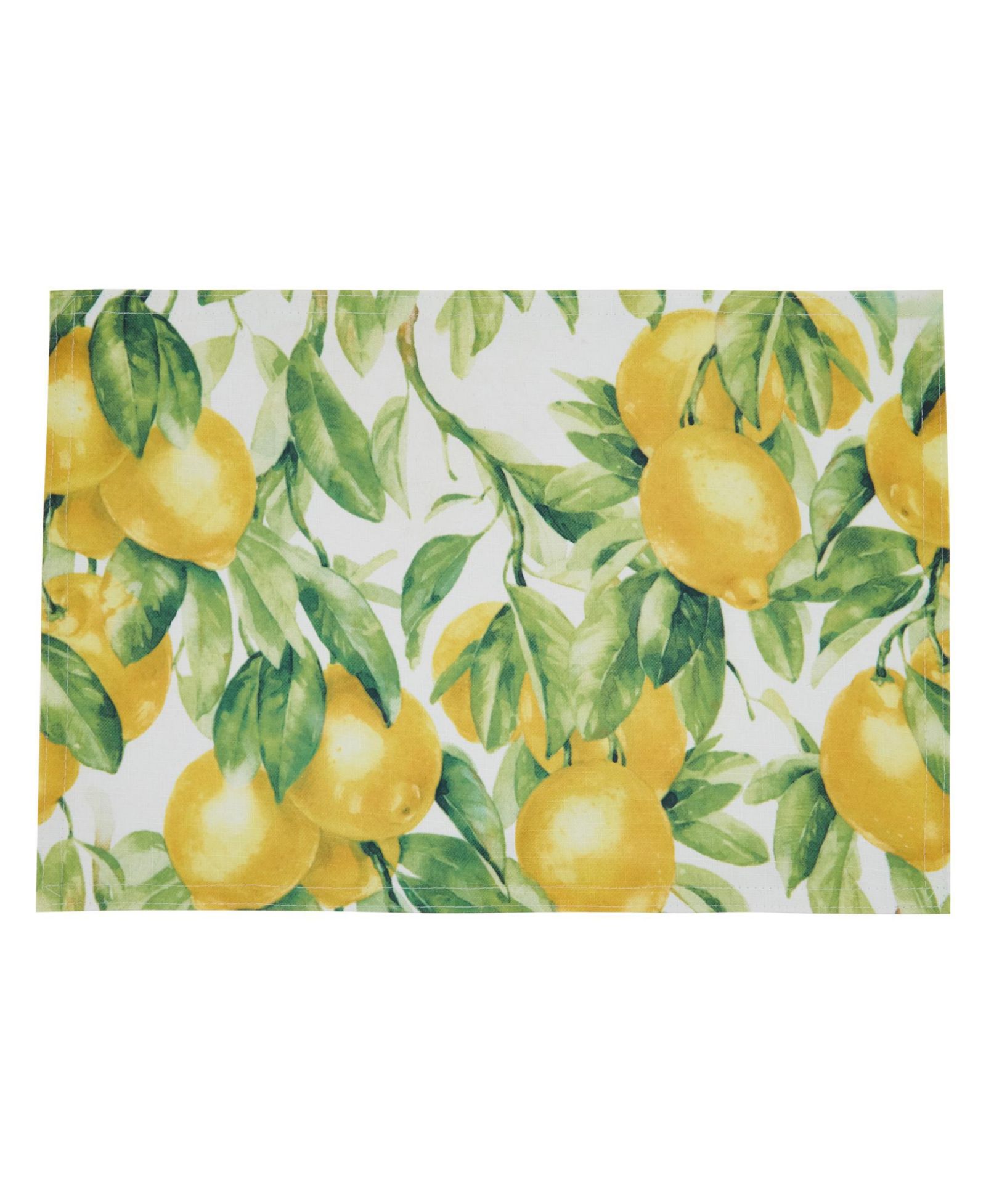 Saro Lifestyle Printed  Placemat Set of 4