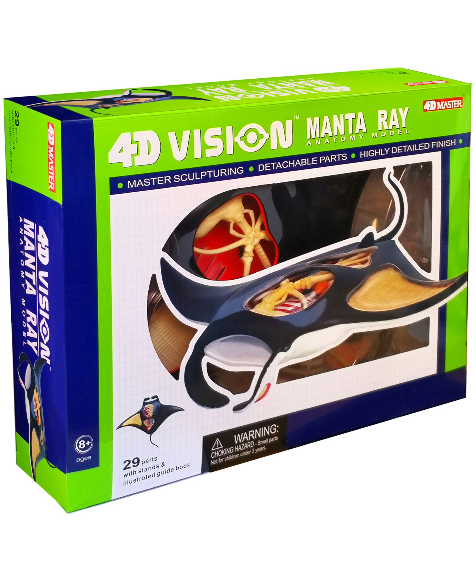 Анатомическая модель ската 4D Master 4D Vision