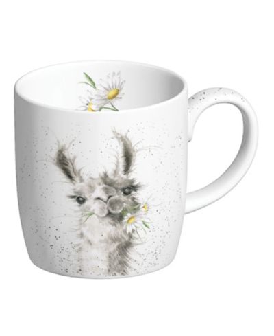 Набор кружек Royal Worcester Wrendale Designs, 4 шт.