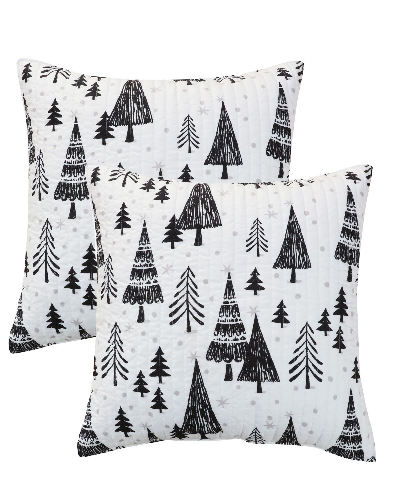 Levtex Home Northern Star 2-Pack Sham Set, European