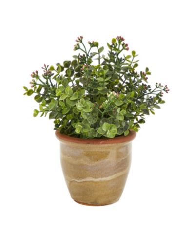 Искусственное растение Nearly Natural Eucalyptus and Sedum Succulent в керамическом кашпо