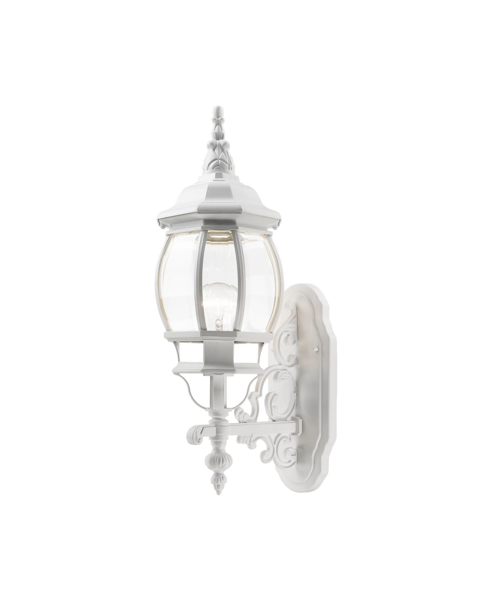 Frontenac 1 Light Outdoor Wall Lantern