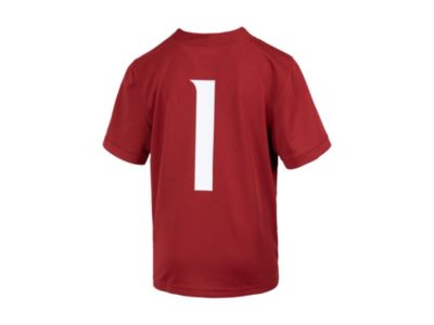 Детская игровая джерси Nike Washington State Cougars Replica Football