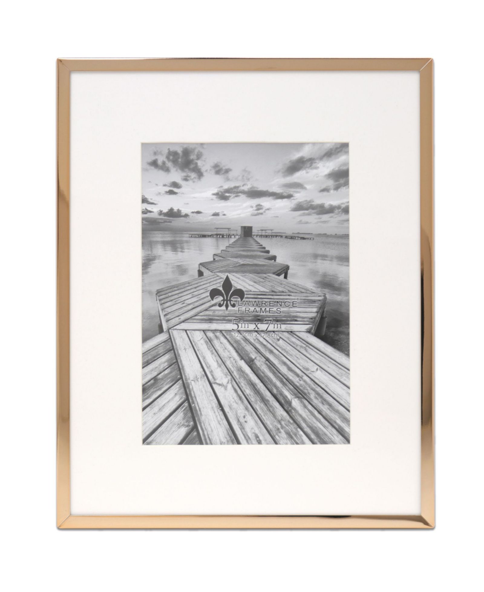 Elegant Metal Picture Frame with Bevel Cut Mat for Photo, 5" x 7"