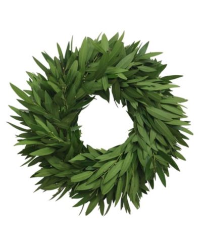 GreenishBlu венок из свежего лаврового листа, 20"