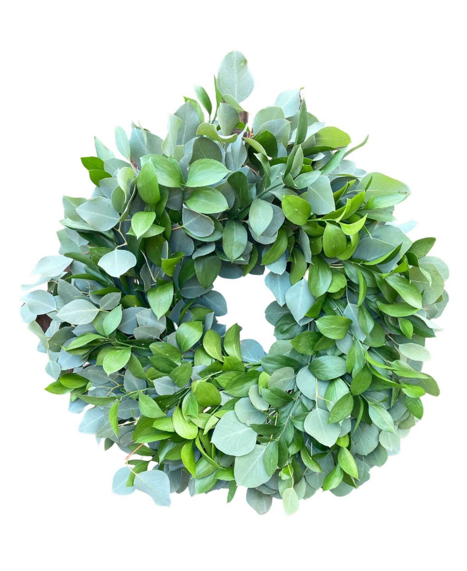 Венок GreenishBlu Fresh Dollar Eucalyptus and Ruscus 20"