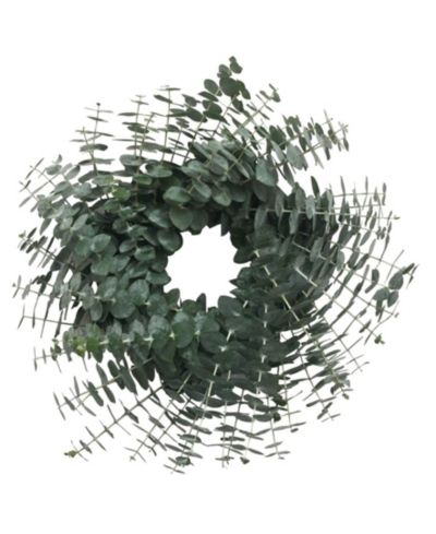 Венок GreenishBlu Fresh Eucalyptus, 20"