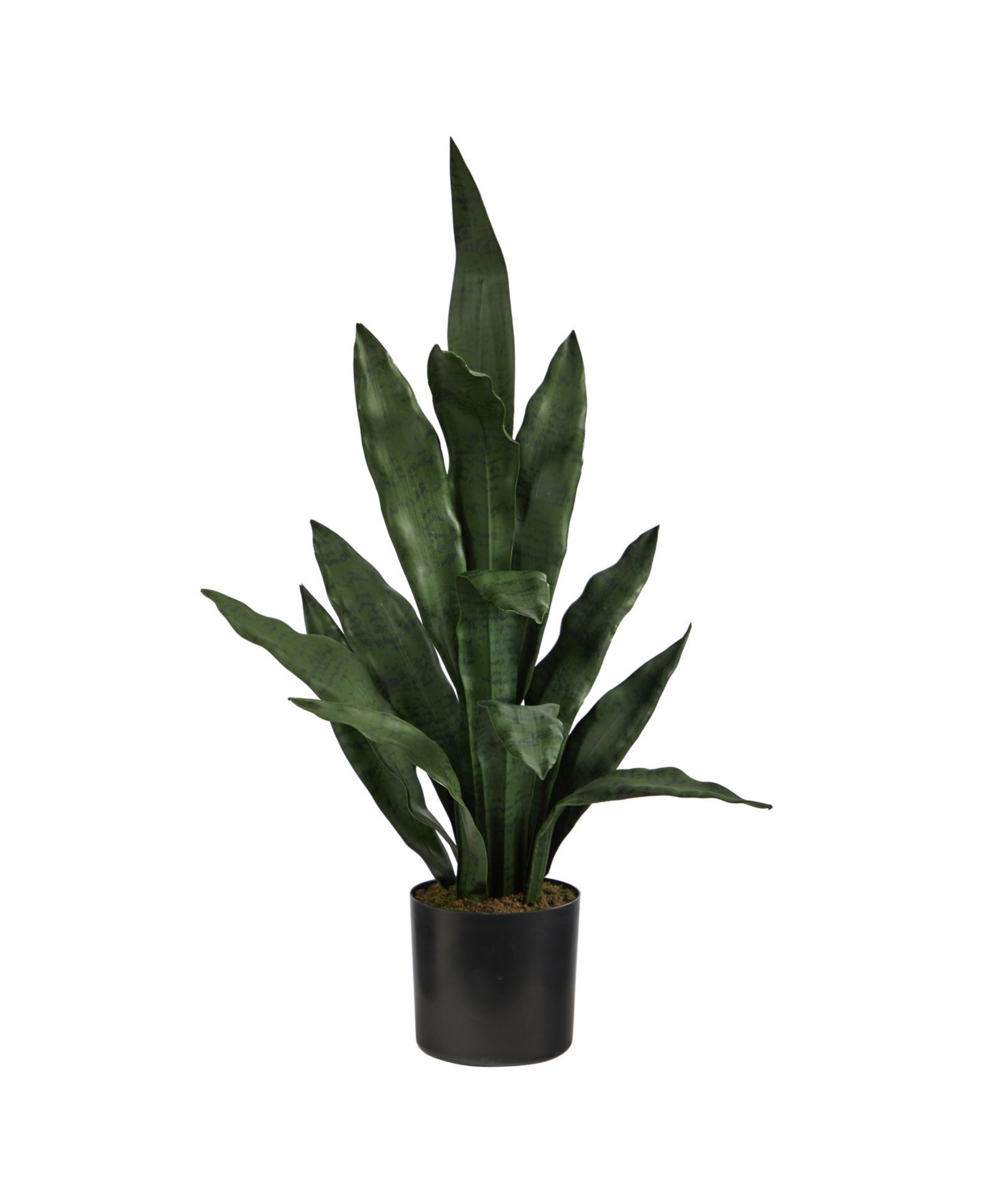 Искусственное растение Sansevieria 2'
