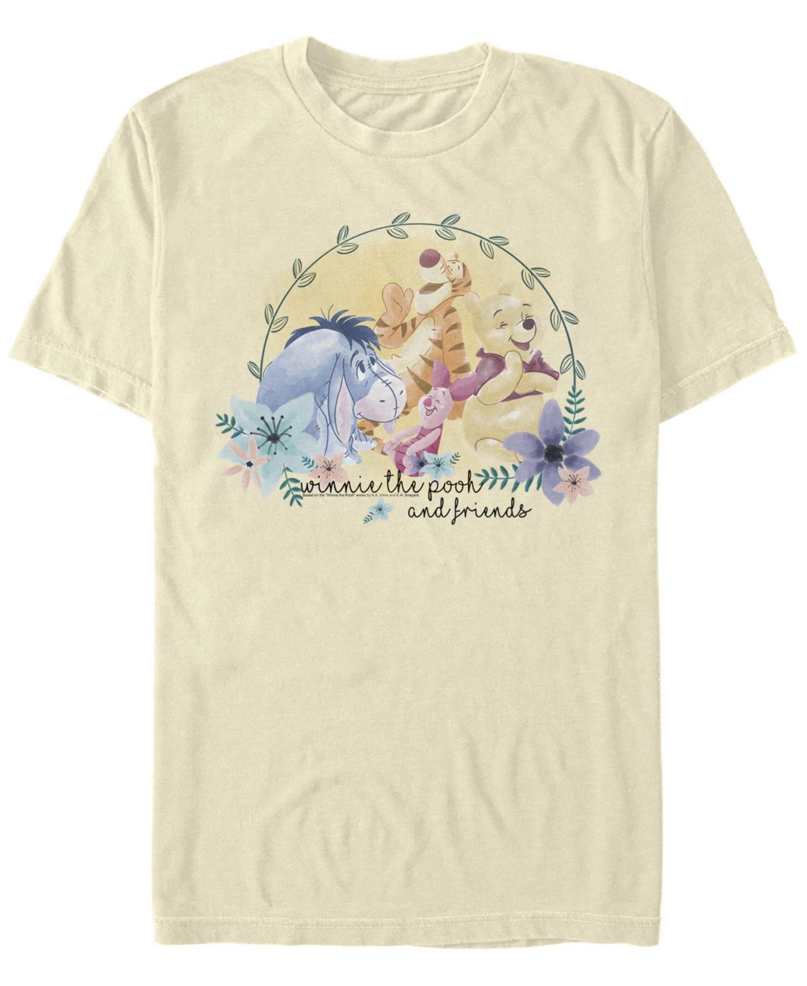 Мужская футболка Fifth Sun Winnie and Friends