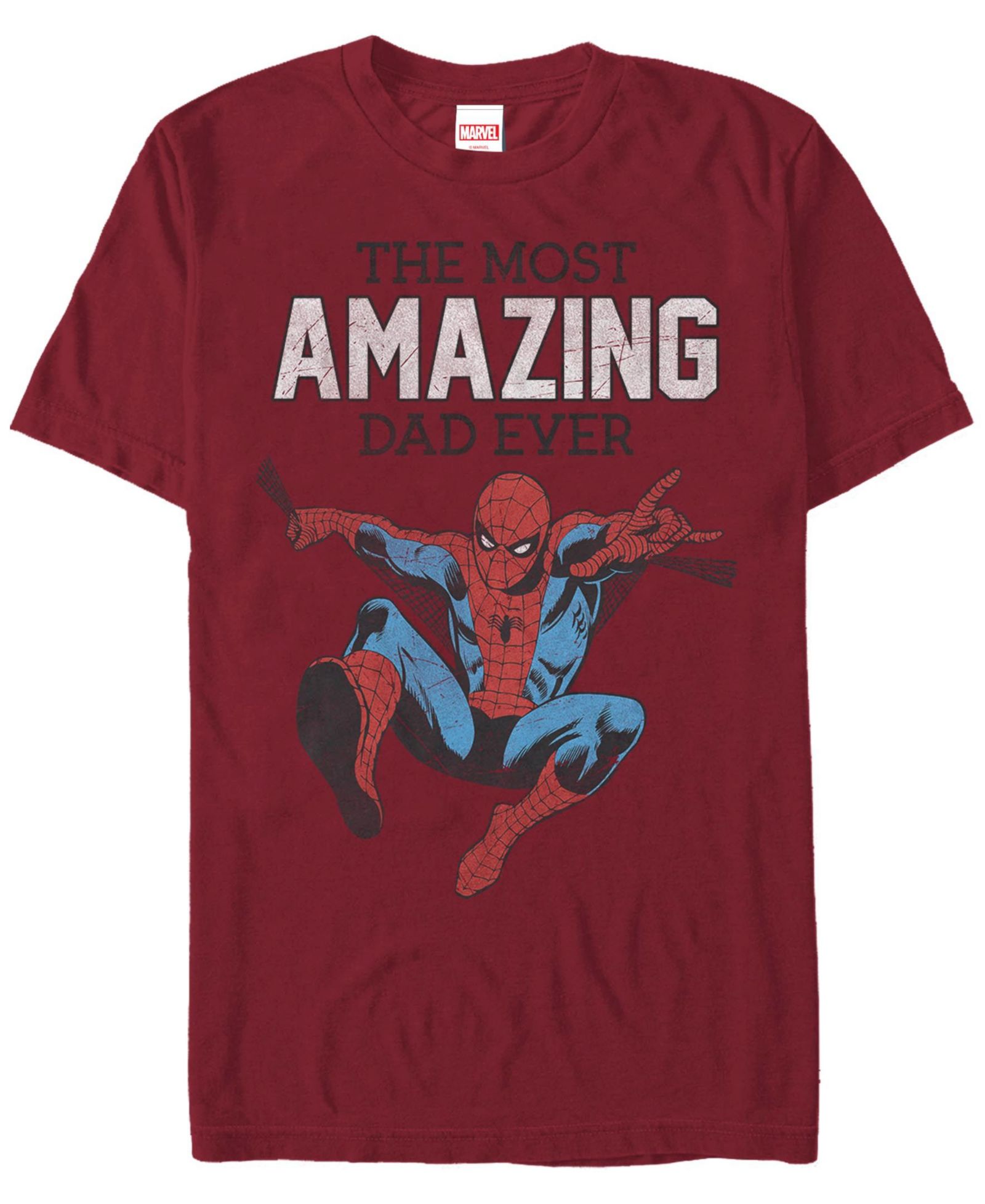 Футболка Fifth Sun Men's Amazing Dad Short Sleeve
