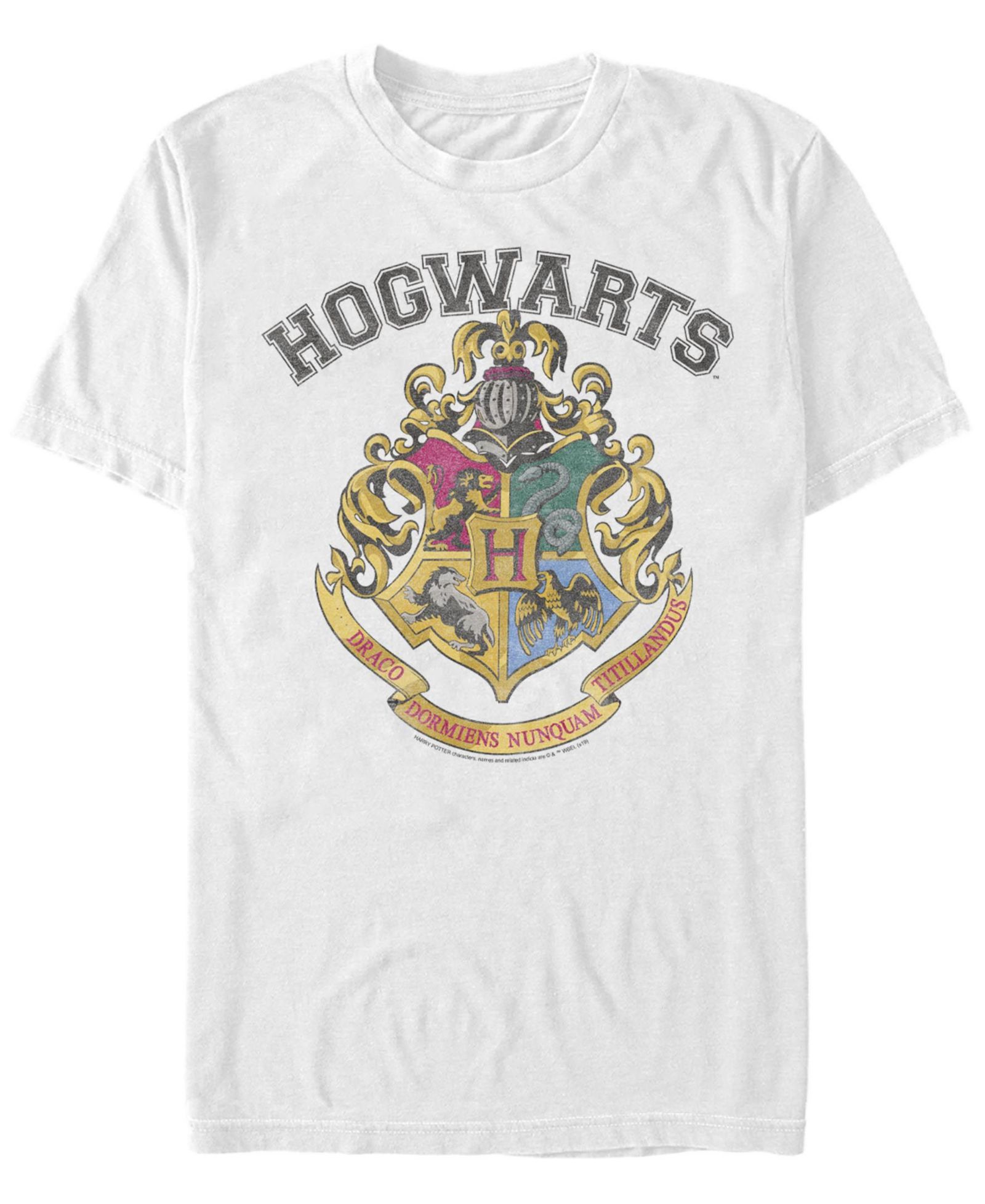 Мужская футболка Fifth Sun Harry Potter Vintage Logo