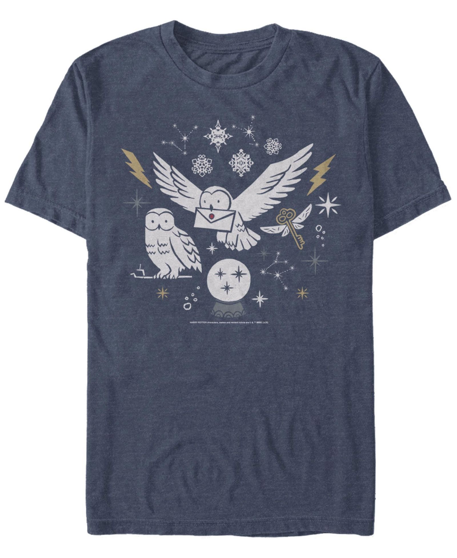 Мужская футболка Fifth Sun Wintery Owls Short Sleeve Crew