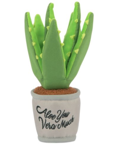 Blooming Buddies Collection: Aloe-ve You Plant