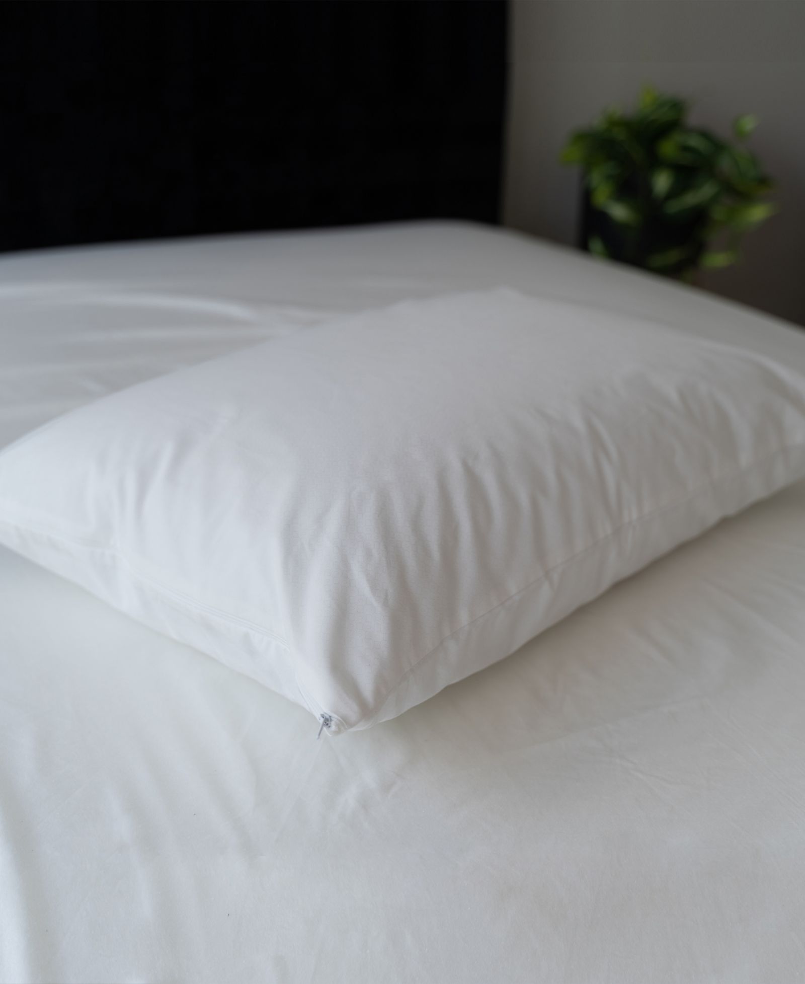 Sealy All Night Cooling Zippered Pillow Protector, Standard/Queen