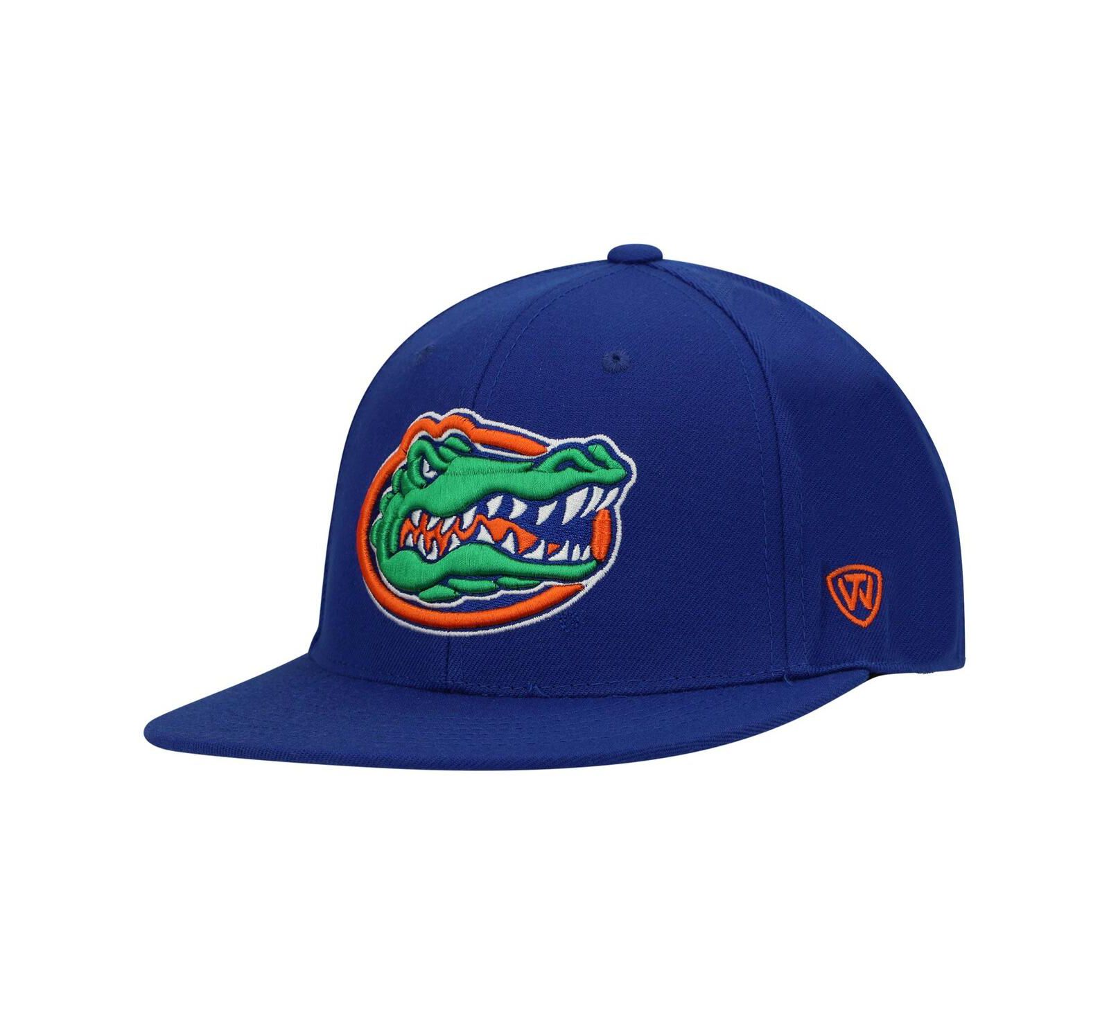 Men's Royal Florida Gators Team Color Fitted Hat