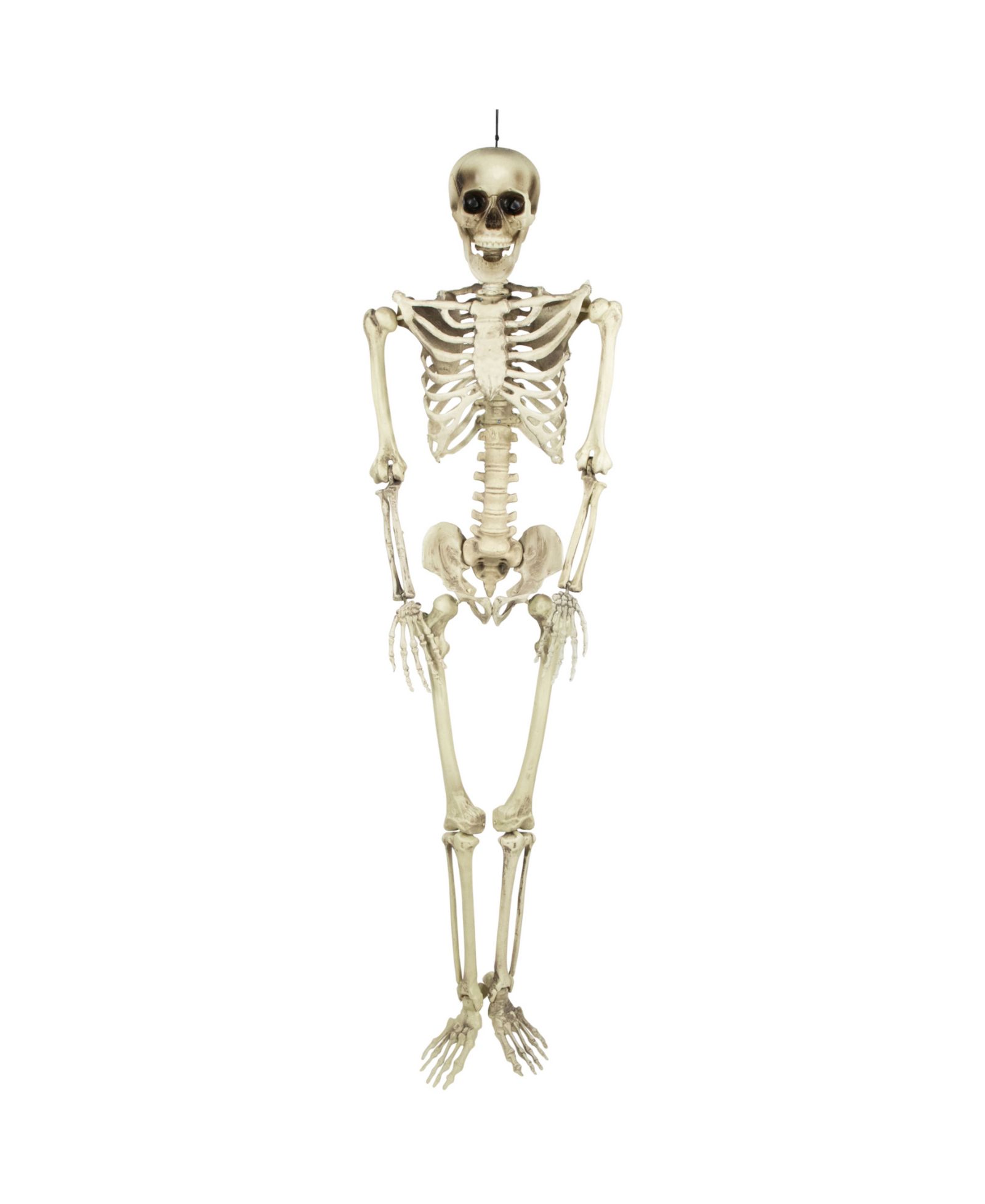 Декоративный скелет Halloween Life Size 5'