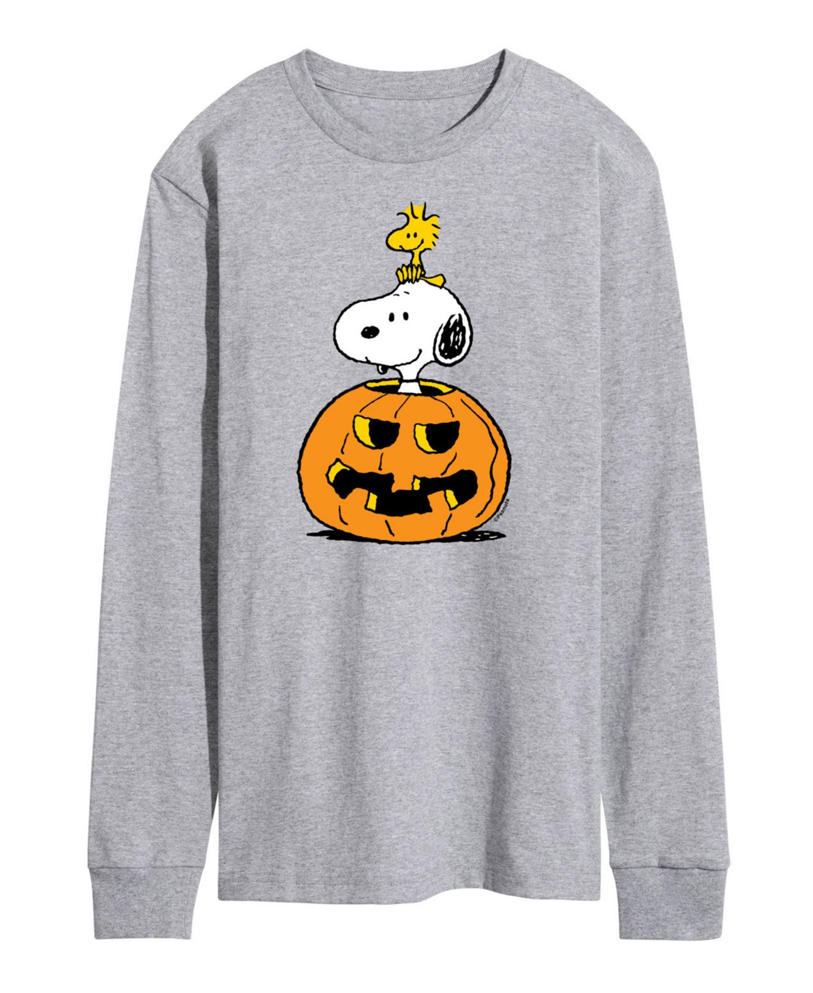 Мужская футболка AIRWAVES Peanuts Snoopy Pumpkin