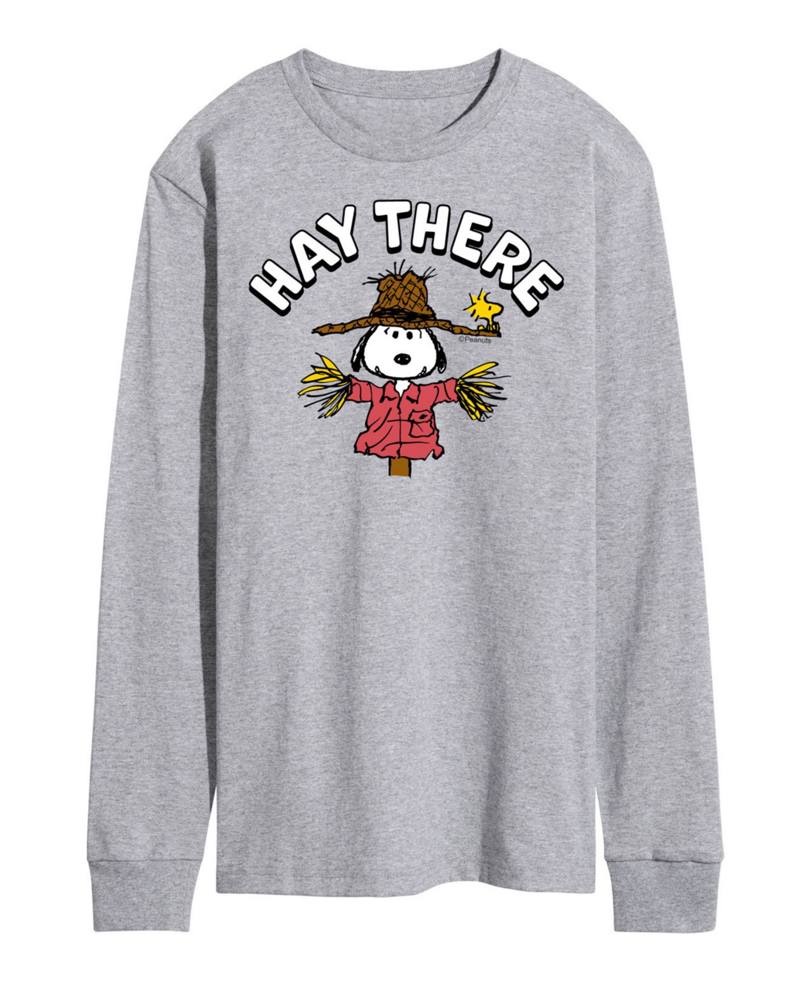 Мужская футболка AIRWAVES Peanuts Hay There
