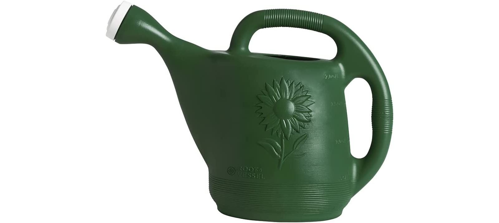 Novelty Classic Plastic Watering Can, 2 Gallons