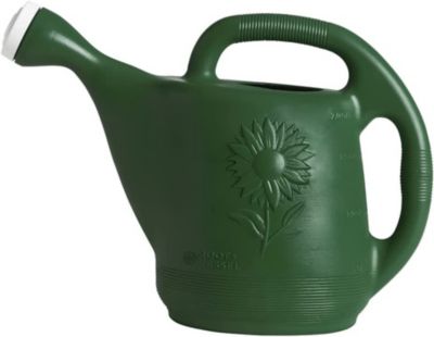 Novelty Classic Plastic Watering Can, 2 Gallons