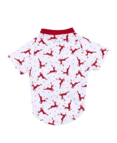 Reindeer