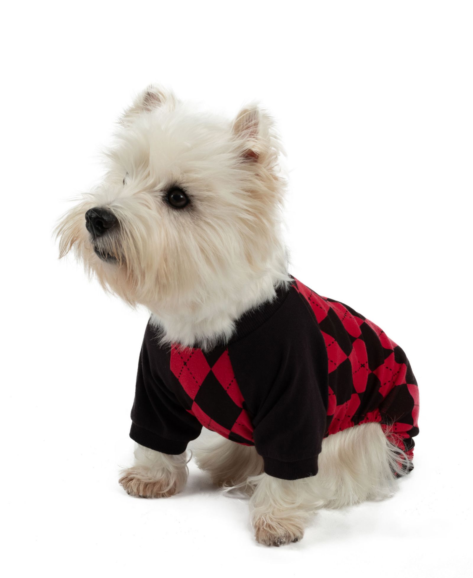 Leveret Dog Cotton Argyle Holiday Pajamas